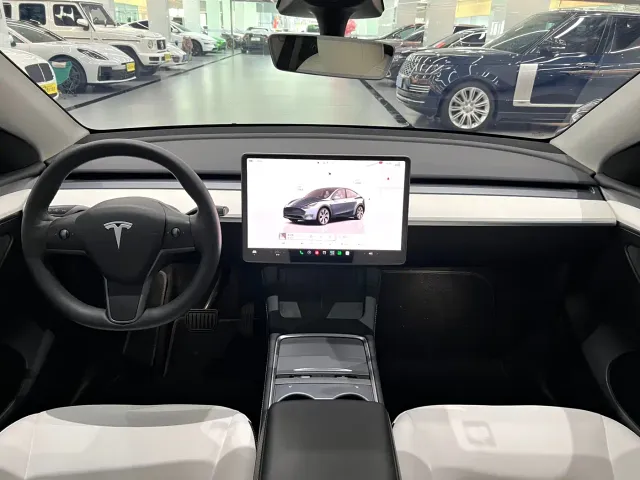 Tesla Model Y — Фото автомобиля 4