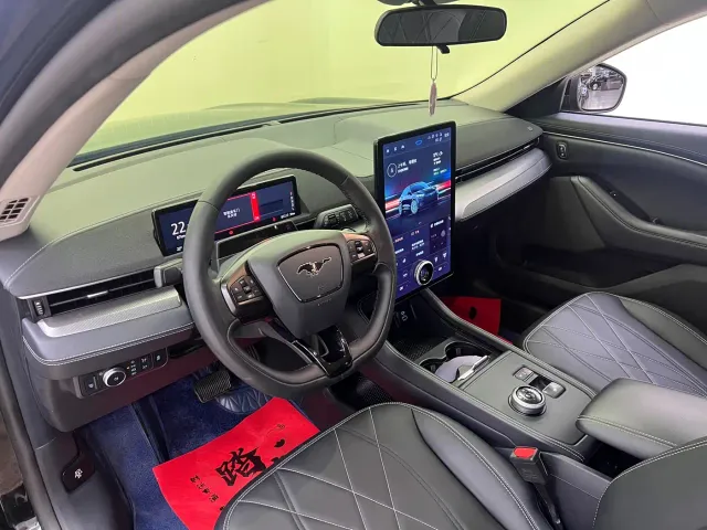 Ford Mustang Mach-E — Фото автомобиля 14