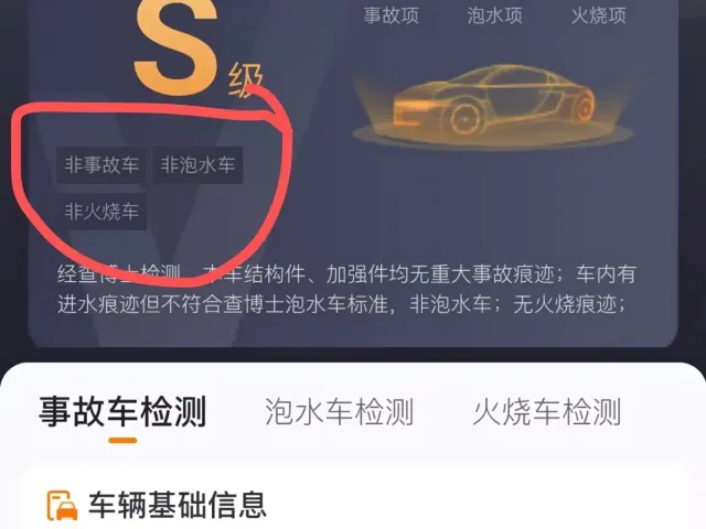 Wey Lanshan — Фото автомобиля 20