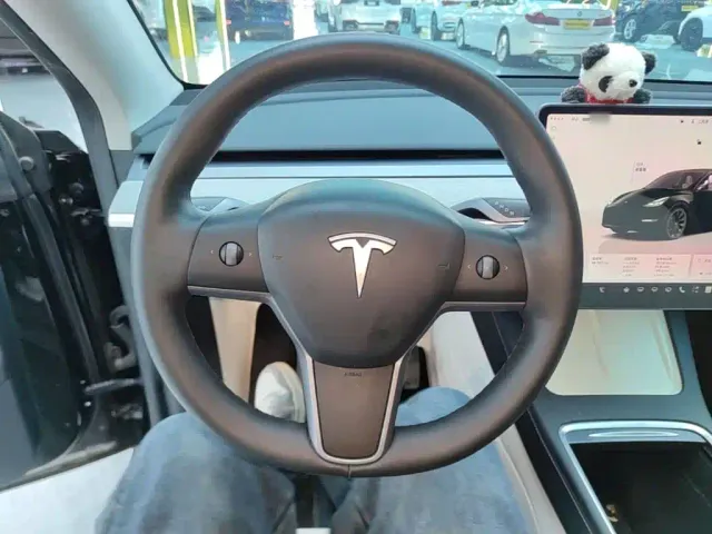 Tesla Model Y — Фото автомобиля 10