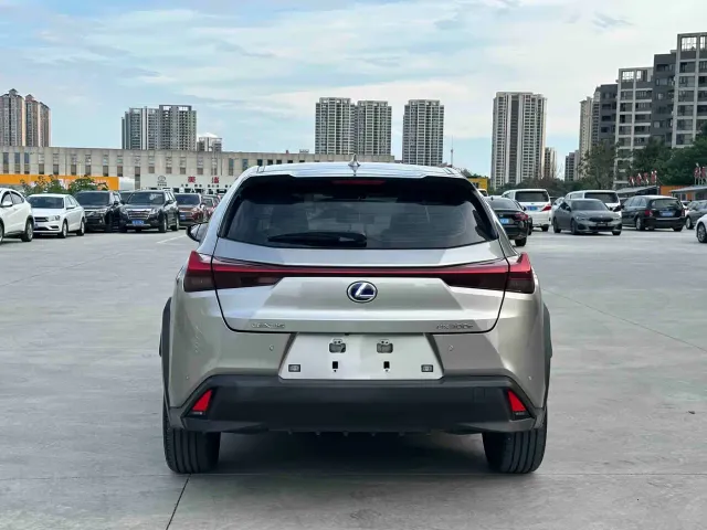Lexus Lexus UX Electric 2020 300e Pure Yue Edition — Фото автомобиля 5