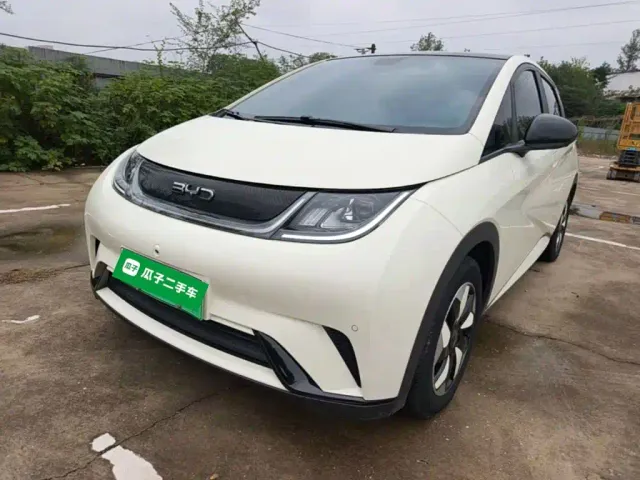 Фотография автомобиля — BYD Dolphin