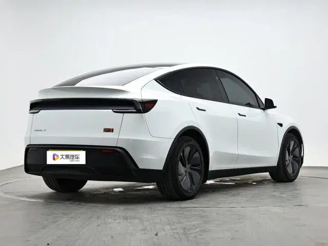 Tesla Model Y — Фото автомобиля 3