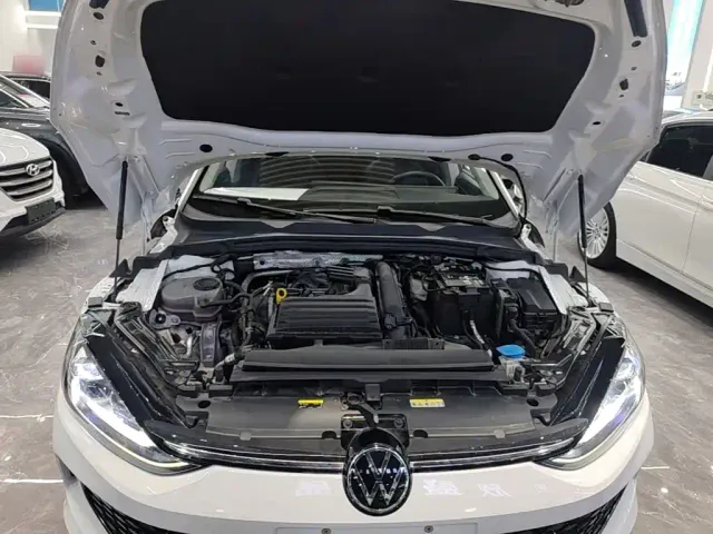 Volkswagen Lamando — Фото автомобиля 19