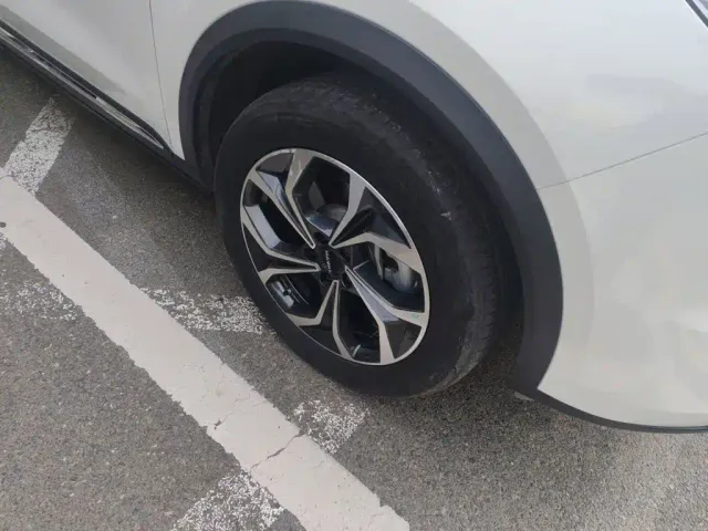 Haval Xiaolong MAX — Фото автомобиля 25