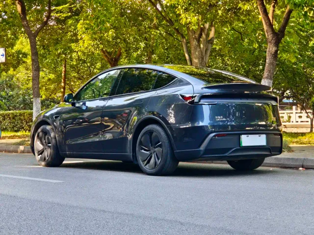 Tesla Model Y — Фото автомобиля 16