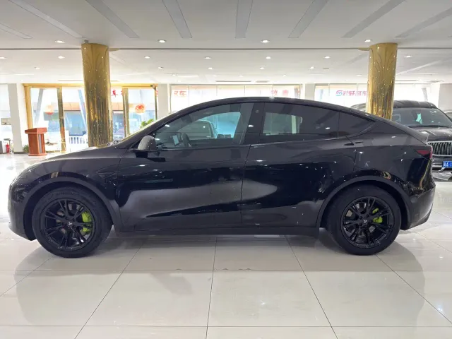 Tesla Model Y — Фото автомобиля 3