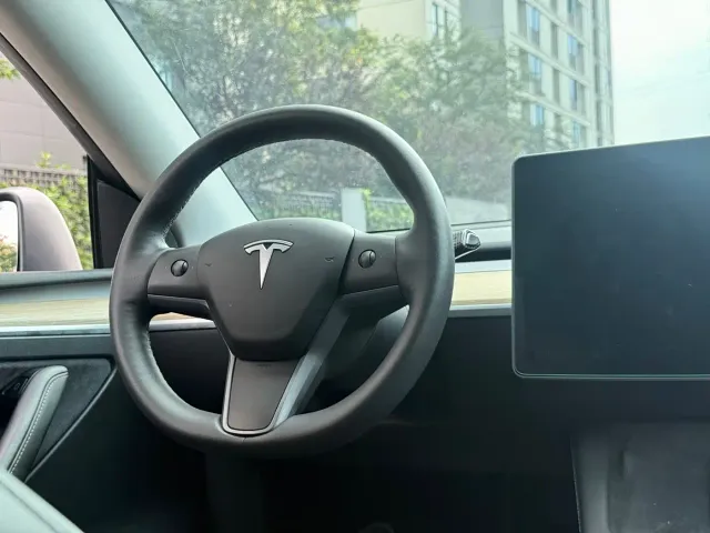 Tesla Model Y — Фото автомобиля 9