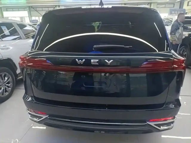 Wey Lanshan — Фото автомобиля 5