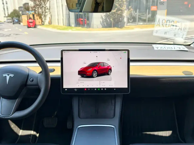Tesla Model Y — Фото автомобиля 12