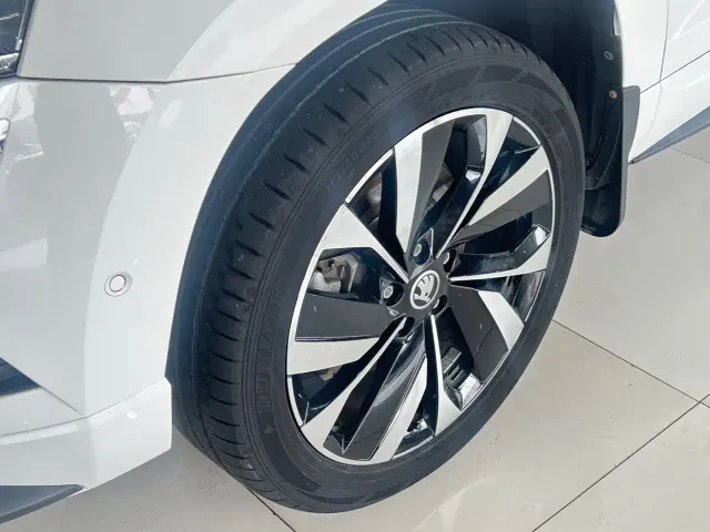 Skoda Karoq — Фото автомобиля 9