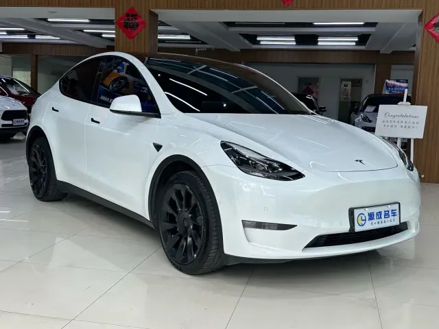 Tesla Model Y — Фото автомобиля 4