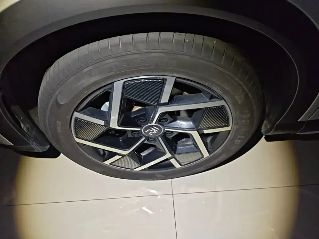 BYD Yuan PLUS 2024 Glory Edition 510KM Advanced — Фото автомобиля 22