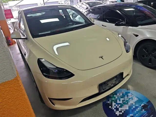 Tesla Model Y — Фото автомобиля 3