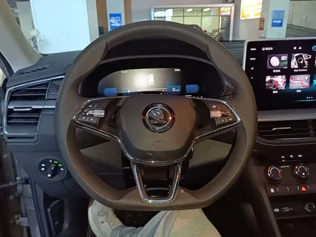 Skoda Kodiaq — Фото автомобиля 10