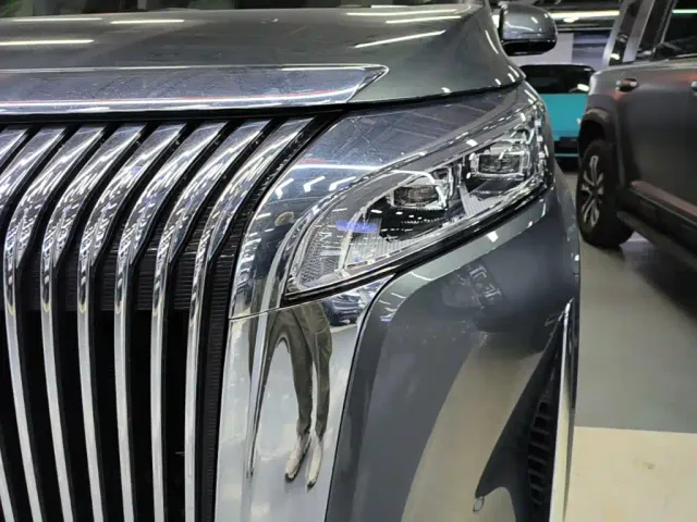 Wey Alpine — Фото автомобиля 23