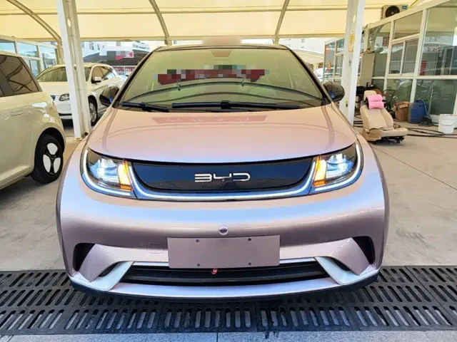 BYD Dolphin — Фото автомобиля 2