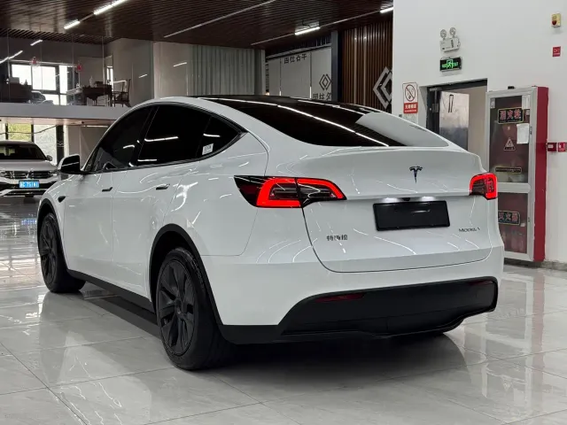 Tesla Model Y — Фото автомобиля 4