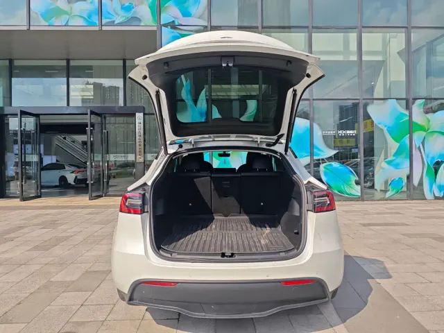 Tesla Model Y — Фото автомобиля 29