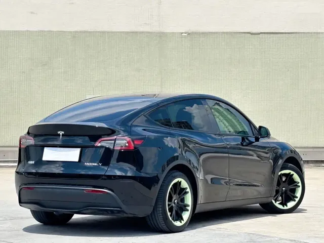 Tesla Model Y — Фото автомобиля 10