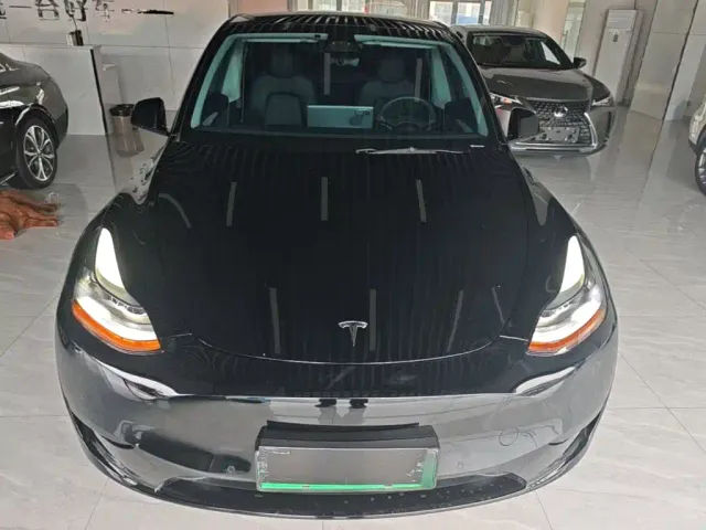 Tesla Model Y — Фото автомобиля 2