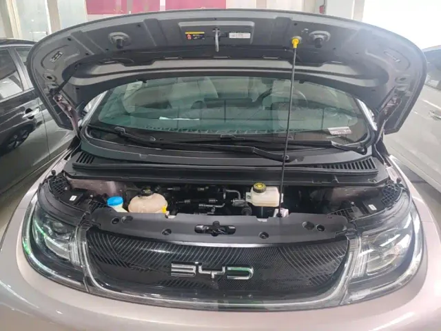 BYD Dolphin — Фото автомобиля 19