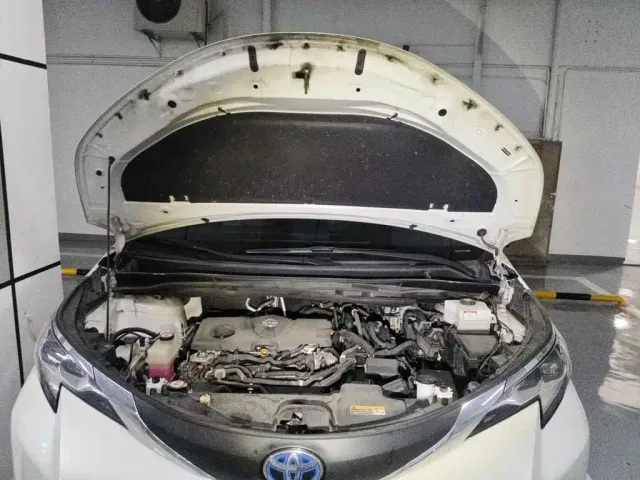 Toyota Sienna — Фото автомобиля 9