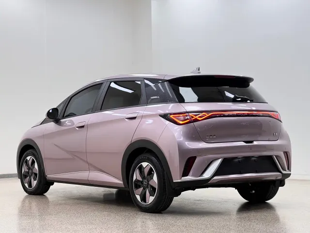 BYD Dolphin — Фото автомобиля 5