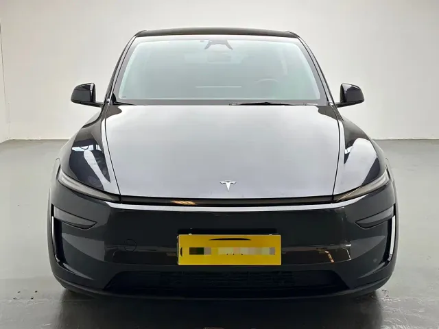 Tesla Model Y — Фото автомобиля 2