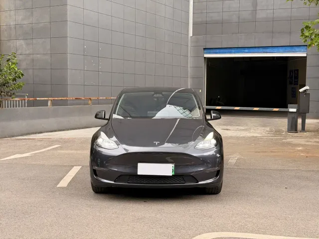 Tesla Model Y — Фото автомобиля 2