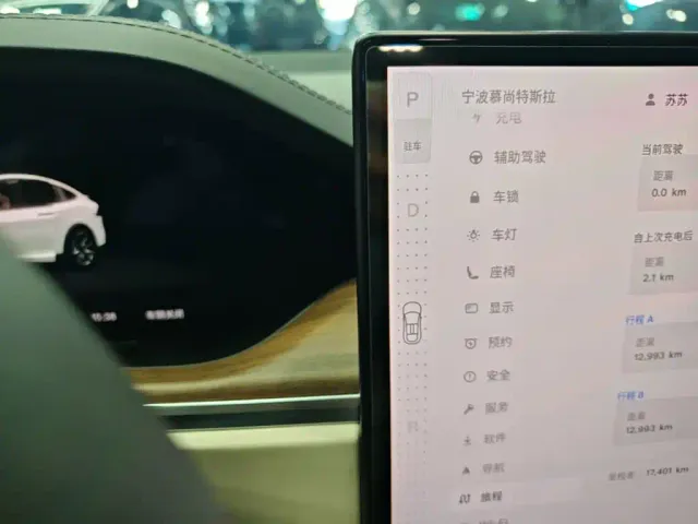 Tesla Model X — Фото автомобиля 9