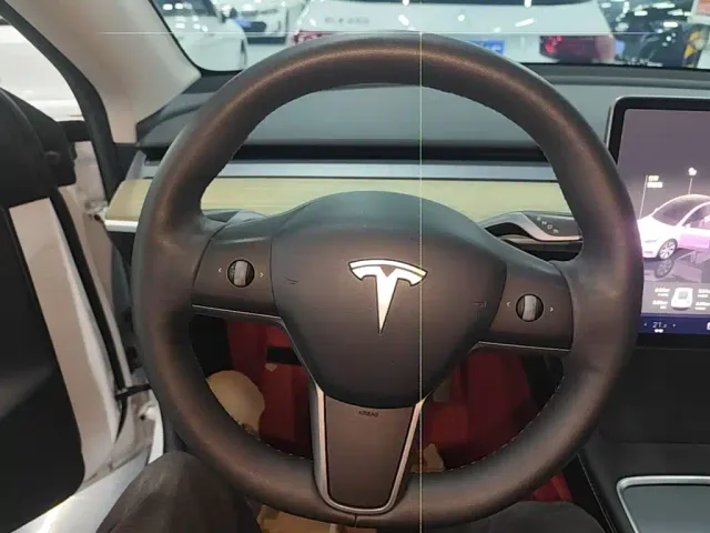 Tesla Model Y — Фото автомобиля 10