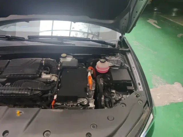 BYD Qin PLUS 2021 DM-i 120KM Flagship — Фото автомобиля 19