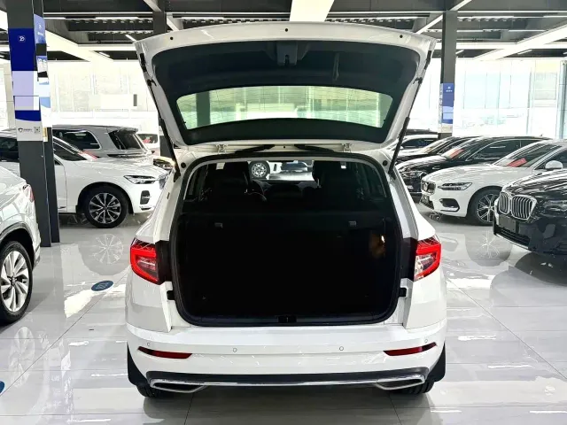 Skoda Karoq — Фото автомобиля 14