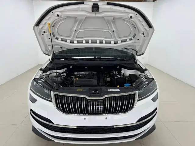 Skoda Karoq — Фото автомобиля 7