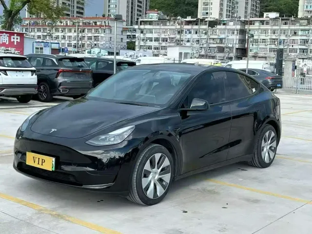 Tesla Model Y — Фото автомобиля 2
