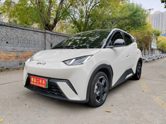 Фотография автомобиля — BYD Seagull