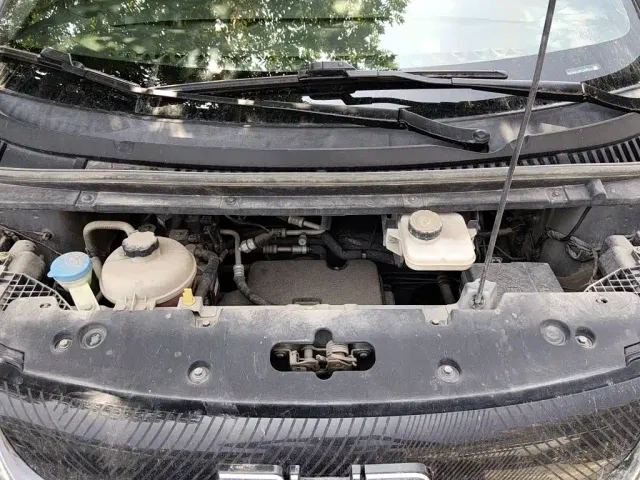 BYD Dolphin — Фото автомобиля 10