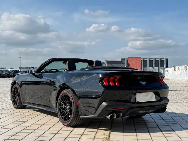 Ford Mustang — Фото автомобиля 15