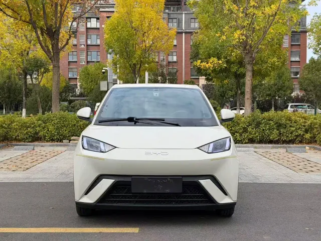 BYD Seagull — Фото автомобиля 2
