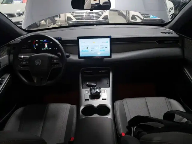 BYD Qin PLUS — Фото автомобиля 9