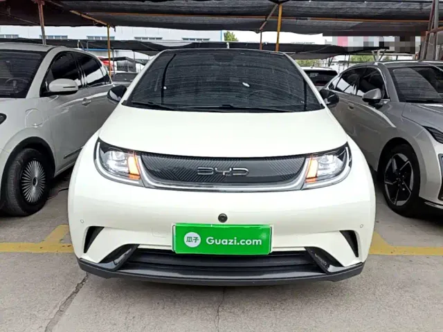 BYD Dolphin — Фото автомобиля 2