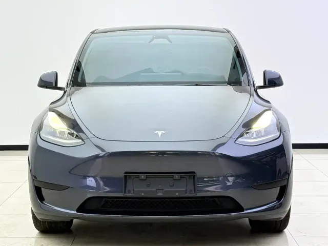 Tesla Model Y — Фото автомобиля 2