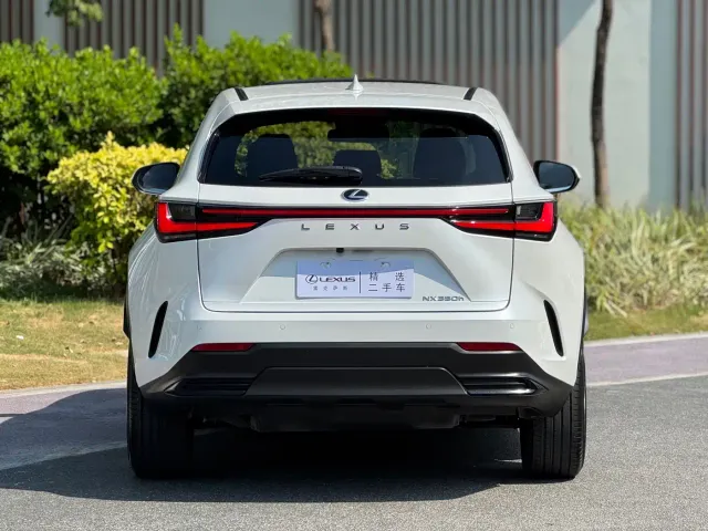 Lexus NX — Фото автомобиля 15