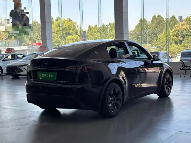 Tesla Model Y — Фото автомобиля 6