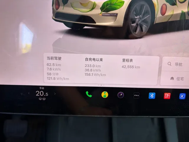 Tesla Model Y — Фото автомобиля 9