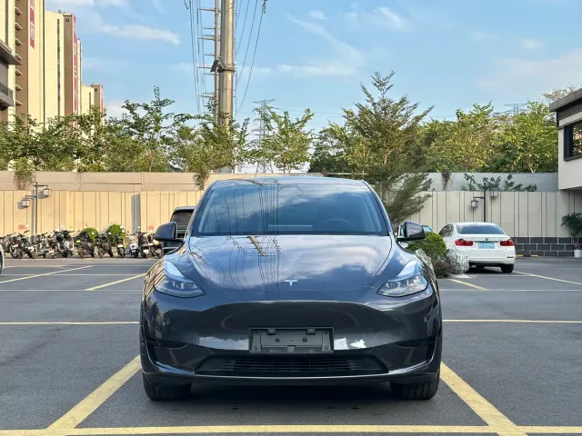 Tesla Model Y — Фото автомобиля 2
