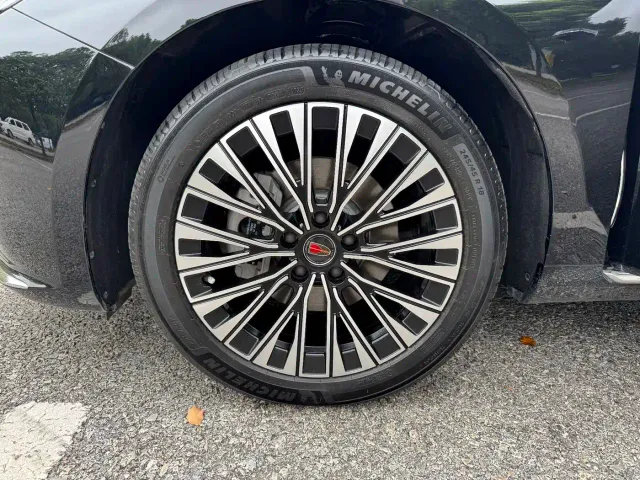 Hongqi Hongqi H5 2025 2.0T Automatic Flag Celebration 500,000 Units Anniversary Edition — Фото автомобиля 19