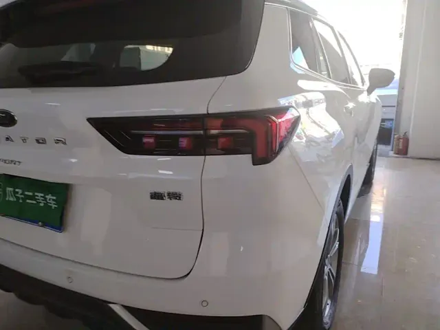 Ford Lingrui — Фото автомобиля 7