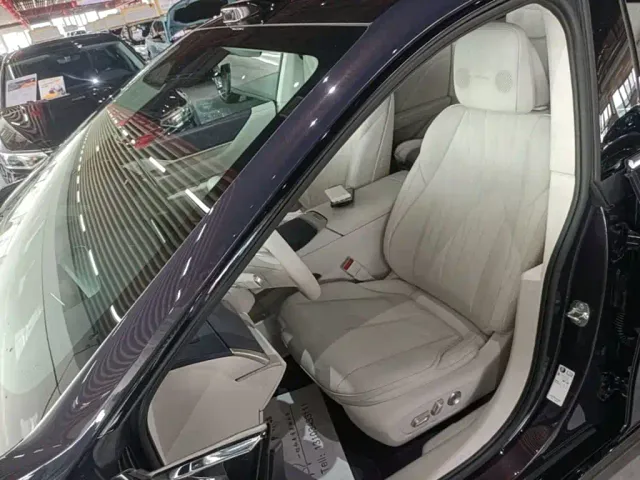 Buick Electra L7 — Фото автомобиля 14